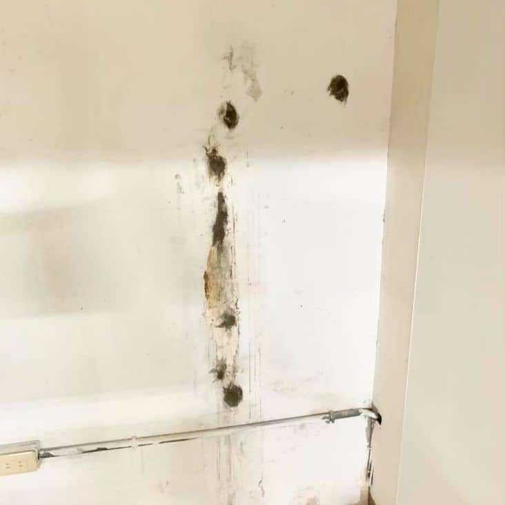 永豐防水抓漏工程行 30年防水抓漏工程經驗，當家中出現漏水問題，每一滴水都是一份憂慮，別再擔心了！不論您住在台北市或新北市，不論是屋頂、浴廁、或外牆，永豐防水抓漏工程 都能為您提供最專業的治漏解決方案。服務工程案件遍佈新北市、台北市、桃園市、新竹市。
